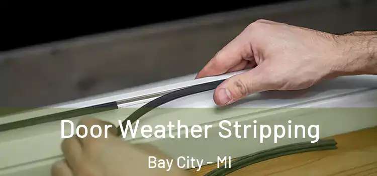 Door Weather Stripping Bay City - MI
